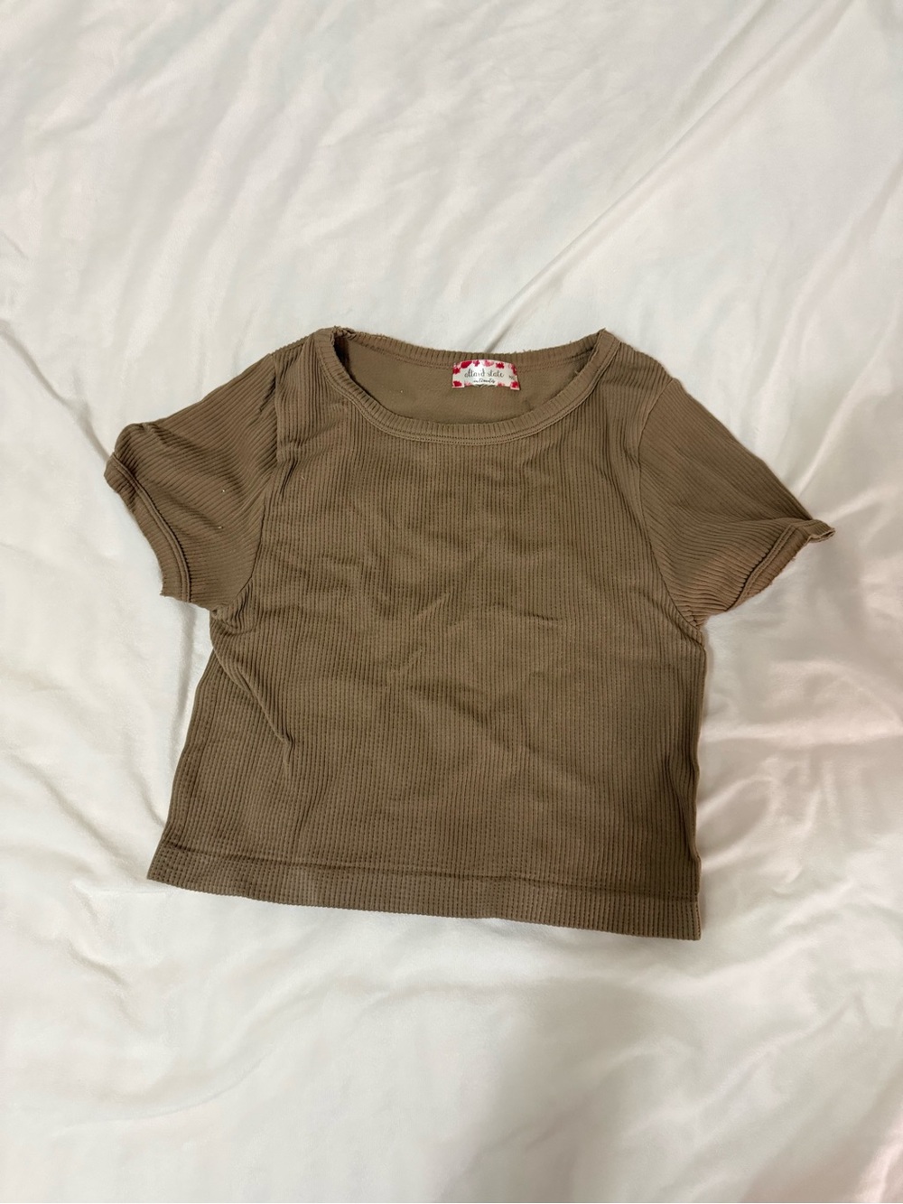 Altar'd State Ribbed Short Sleeve Crop Top - Brown